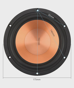 AIYIMA 6.5 inch HIFI Woofer Speaker - 100W Midrange Bass Loudspeaker voor Home Theater & DIY