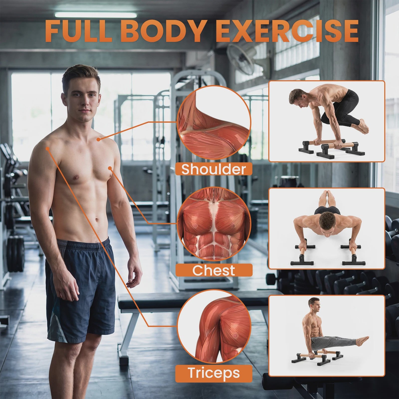 Houten Parallettes Push-Up Bars - Ergonomische Calisthenics Bars voor Krachttraining