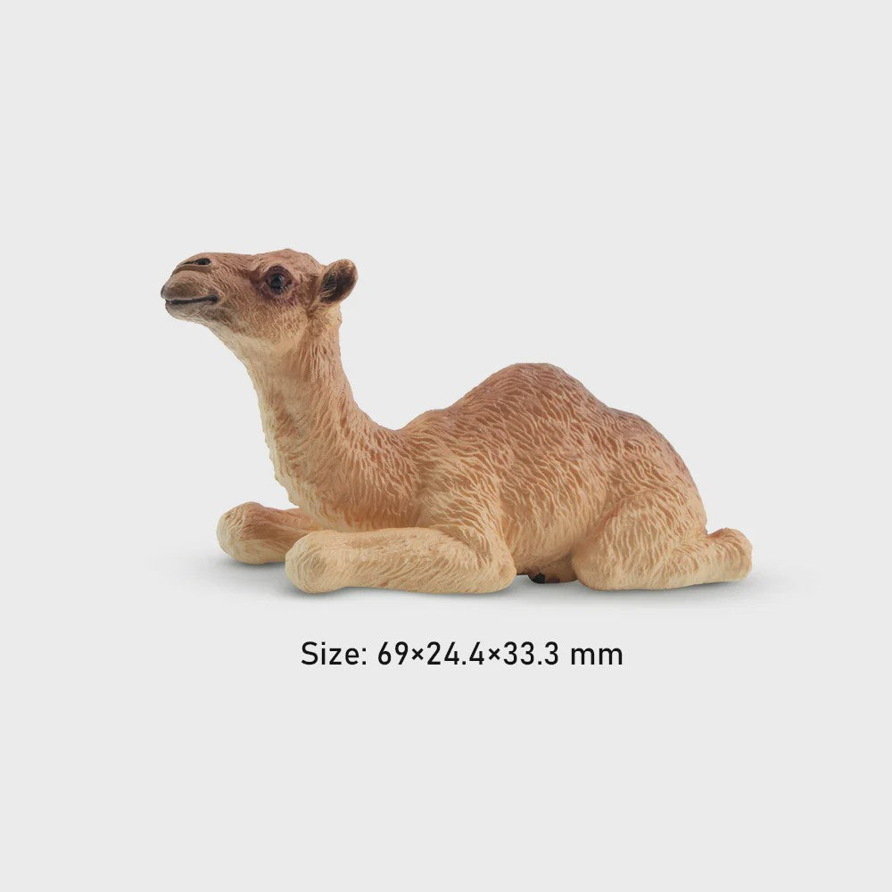 Toymany Camel Kalf Miniatuur Dier Model - Realistische Speelgoedfiguur voor Kinderen & Taartdecoratie