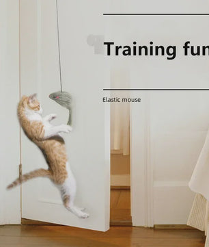 Interactief Katten Speelgoed Muis - Hangend Deur Speeltje met Veertje