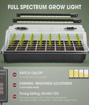 Kweekbak met 40 Cellen, Vochtdome en 2 LED Groeilampen - Complete Zaadstarter Kit
