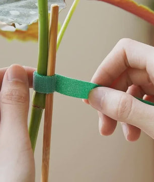 20 Meter Herbruikbare Plantenband - Verstelbare Nylon Tuinband voor Plantensteun