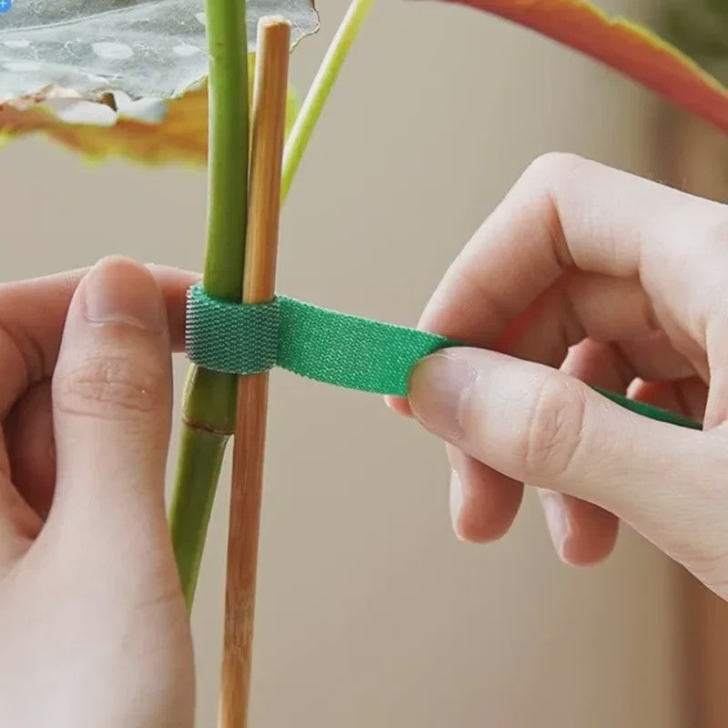 20 Meter Herbruikbare Plantenband - Verstelbare Nylon Tuinband voor Plantensteun
