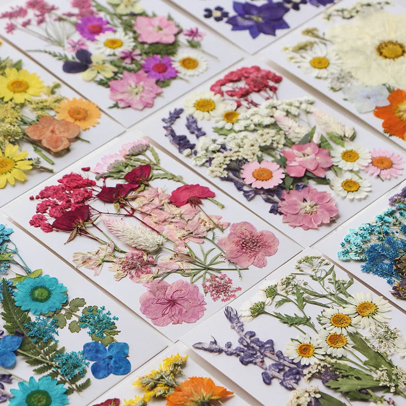 Set Gedroogde Bloemen & Bladeren (16-19 Stuks) - Natuurlijk & Realistisch