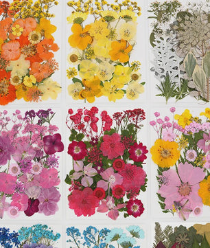 30 Stuks Gedroogde Persbloemen - Natuurlijke Bloemen & Bladeren voor Resin Art, Knutselen en Decoratie