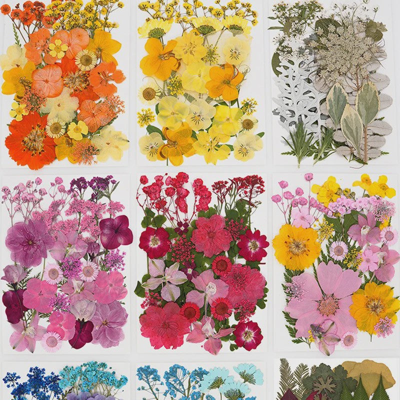 30 Stuks Gedroogde Persbloemen - Natuurlijke Bloemen & Bladeren voor Resin Art, Knutselen en Decoratie