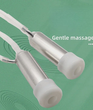 Elektrische Melkmachine Koeien 10L RVS met Automatische Stop & Massagefunctie