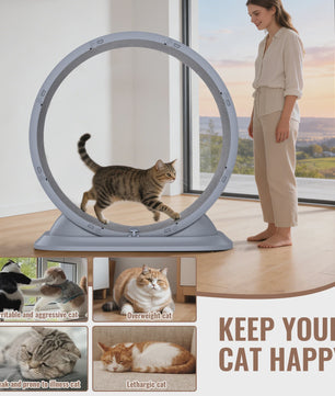 Groot Kattenloopwiel 31.5 inch - Stil & Veilig - Afneembaar Tapijt - Indoor Fitness Loopband voor Katten