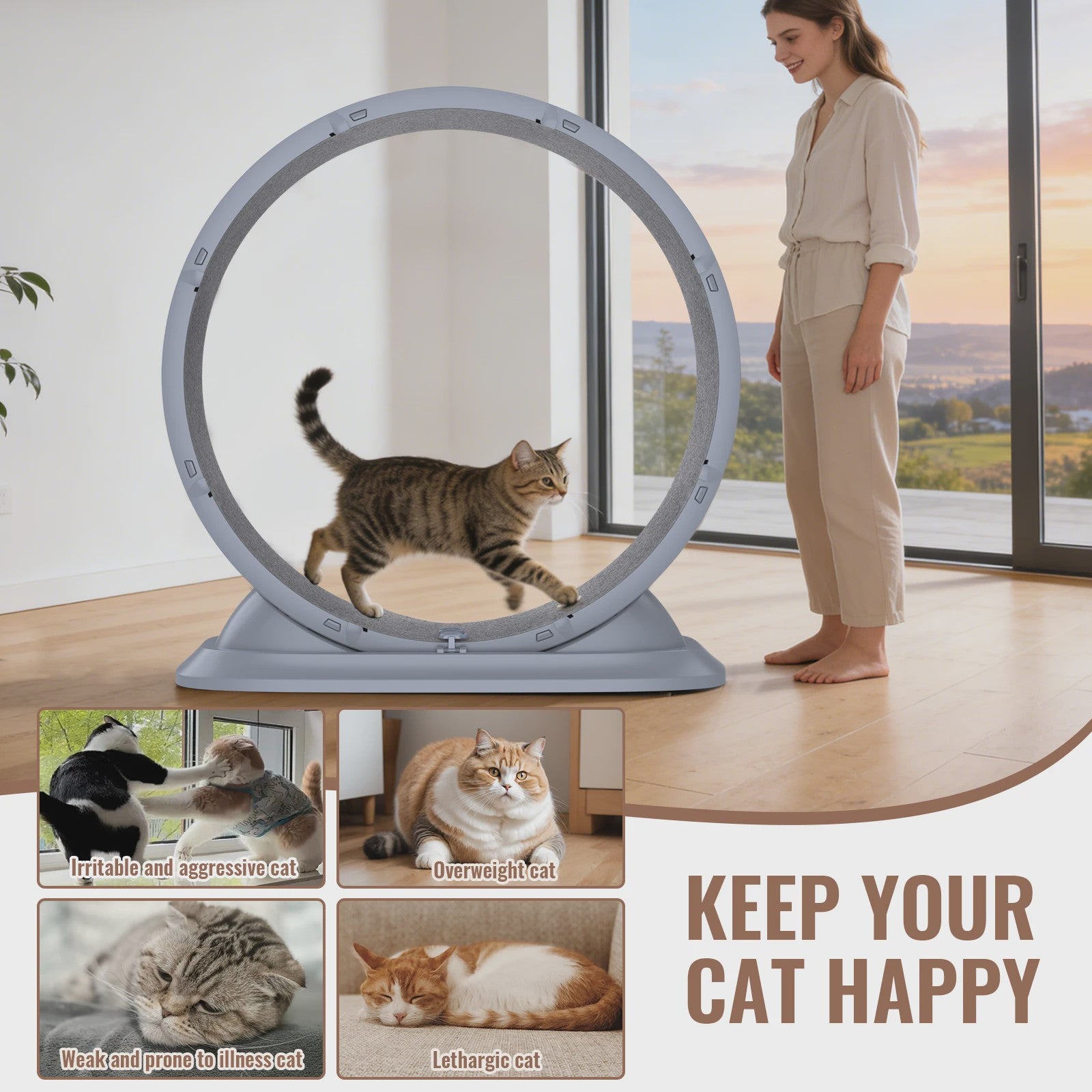 Groot Kattenloopwiel 31.5 inch - Stil & Veilig - Afneembaar Tapijt - Indoor Fitness Loopband voor Katten