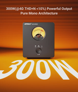 AIYIMA A20 MONO: Krachtige 300W Klasse D Mono Eindversterker met TPA3255, PFFB, VU Meter en Sub Out