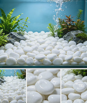 Witte Rivierstenen 2-3cm (250/600g) - Gladde Decoratieve Kiezels voor Aquarium, Terrarium & Planten