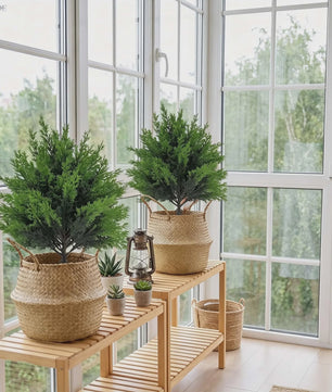 Set van 2 Kunstkerstbomen Bolvormig - Hoge Kwaliteit Kunstgroen voor Binnen en Buiten Tuindecoratie