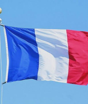 Franse Vlag 90x60cm - Decoratie voor Feest, Parade & Kantoor