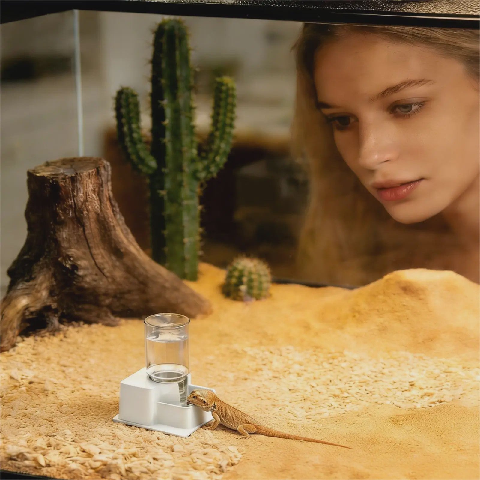 Automatische Reptielen Voerbak & Waterdispenser - Zelfvoorzienend en Afneembaar