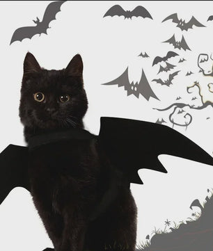 Zwarte Vleermuisvleugels Kostuum voor Kat en Hond - Feestelijke Cosplay Outfit