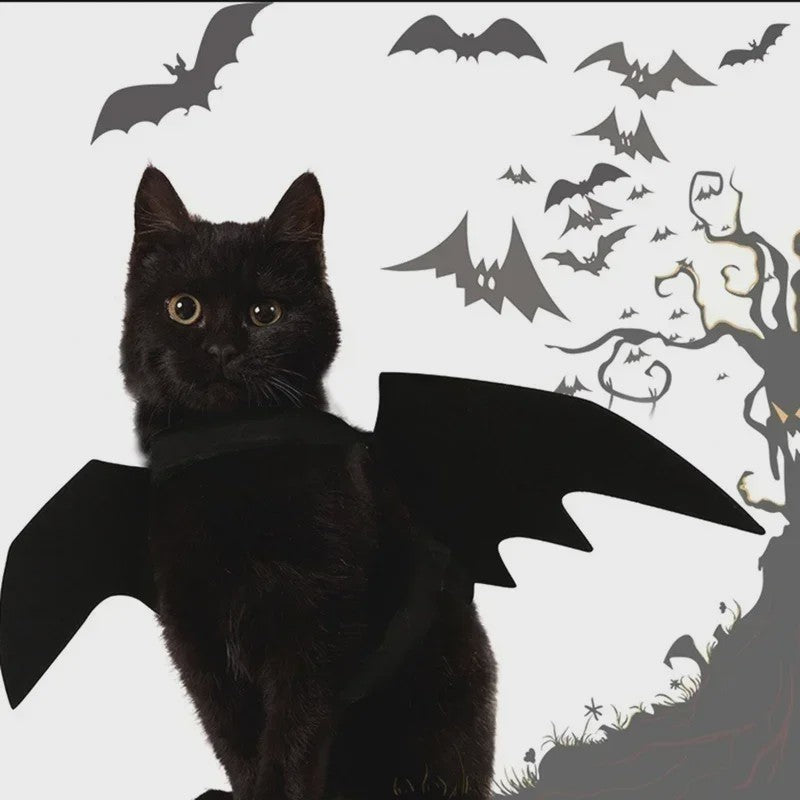 Zwarte Vleermuisvleugels Kostuum voor Kat en Hond - Feestelijke Cosplay Outfit