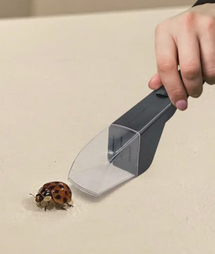 Handzame Insectenvanger: Vang Spinnen, Bijen en Insecten Zonder Ze Te Doden