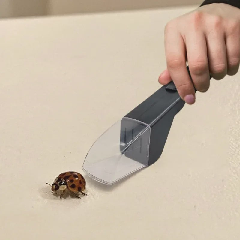 Handzame Insectenvanger: Vang Spinnen, Bijen en Insecten Zonder Ze Te Doden