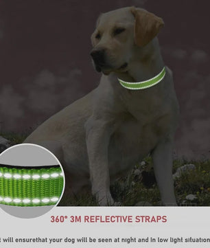 Verstelbare Halsband voor Honden en Puppies met Reflecterende Strepen - Veilig en Comfortabel