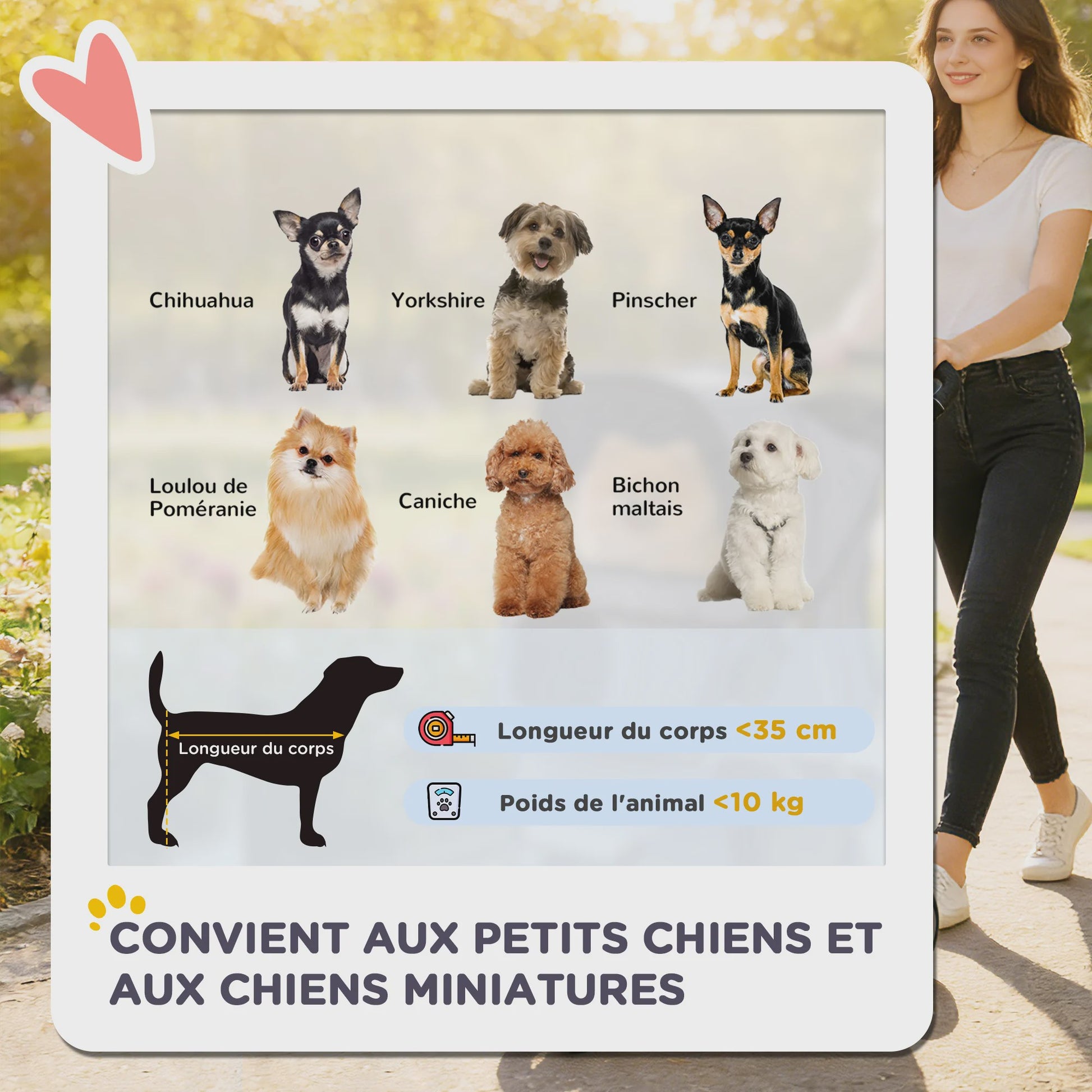 PawHut Honden- en Kattenbuggy - Opvouwbare Dierentransportwagen met Bekerhouder en Mand - Rood