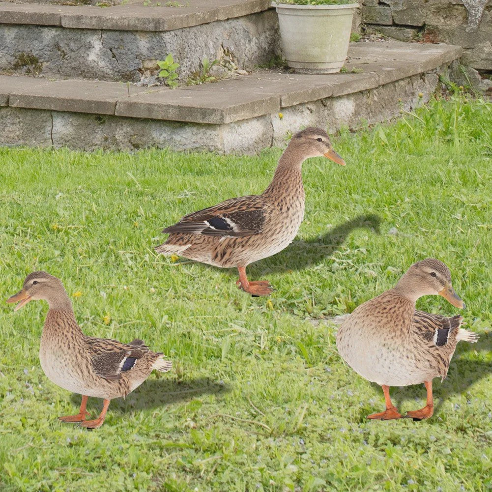 Levendige Acryl Eend Tuindecoratie met Paal - Vrolijke Tuinfiguur voor Buiten
