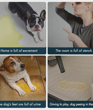Herbruikbare Waterdichte Hondentoiletmat - Wasbaar & Antislip voor Puppy's en Oudere Honden