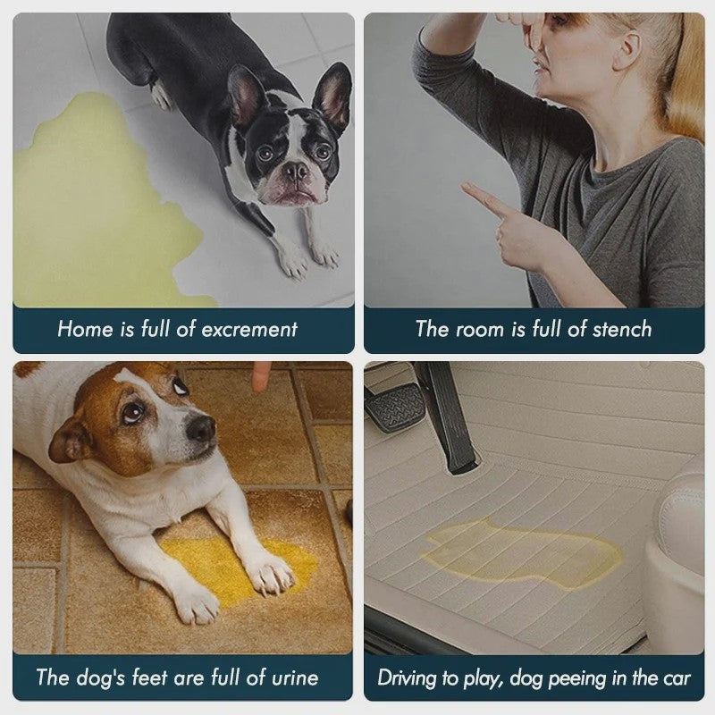 Herbruikbare Waterdichte Hondentoiletmat - Wasbaar & Antislip voor Puppy's en Oudere Honden
