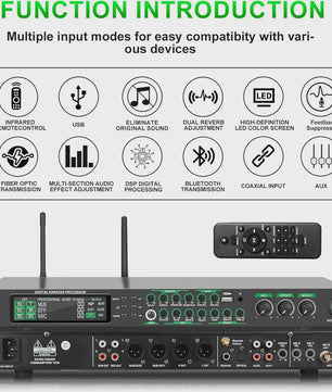 FULODE AX-666 Dubbel Draadloos Microfoon Systeem met Digitale Karaoke Processor