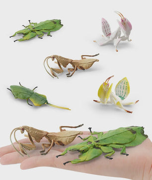 Realistische Insecten Model Figuren: Bidsprinkhaan, Bladwesp & Meer - Educatief Speelgoed & Decoratie
