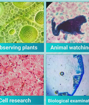 Krachtige Monoculaire Biologische Microscoop 40X-2400X - Ideaal voor Studenten & Wetenschappelijk Onderwijs