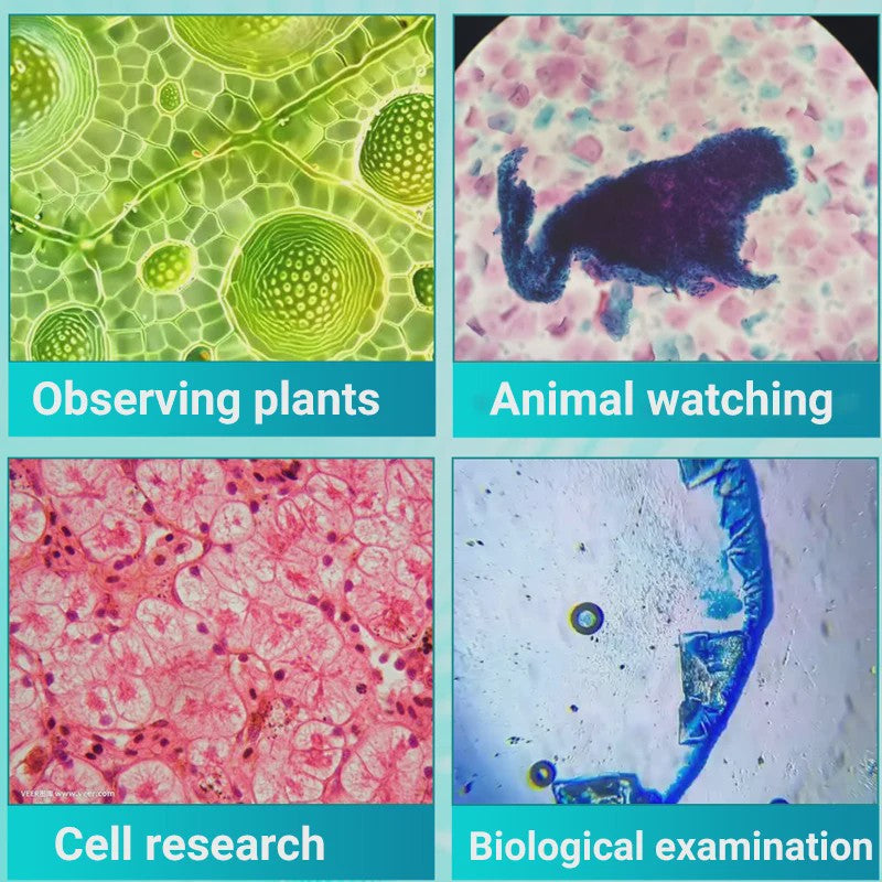 Krachtige Monoculaire Biologische Microscoop 40X-2400X - Ideaal voor Studenten & Wetenschappelijk Onderwijs