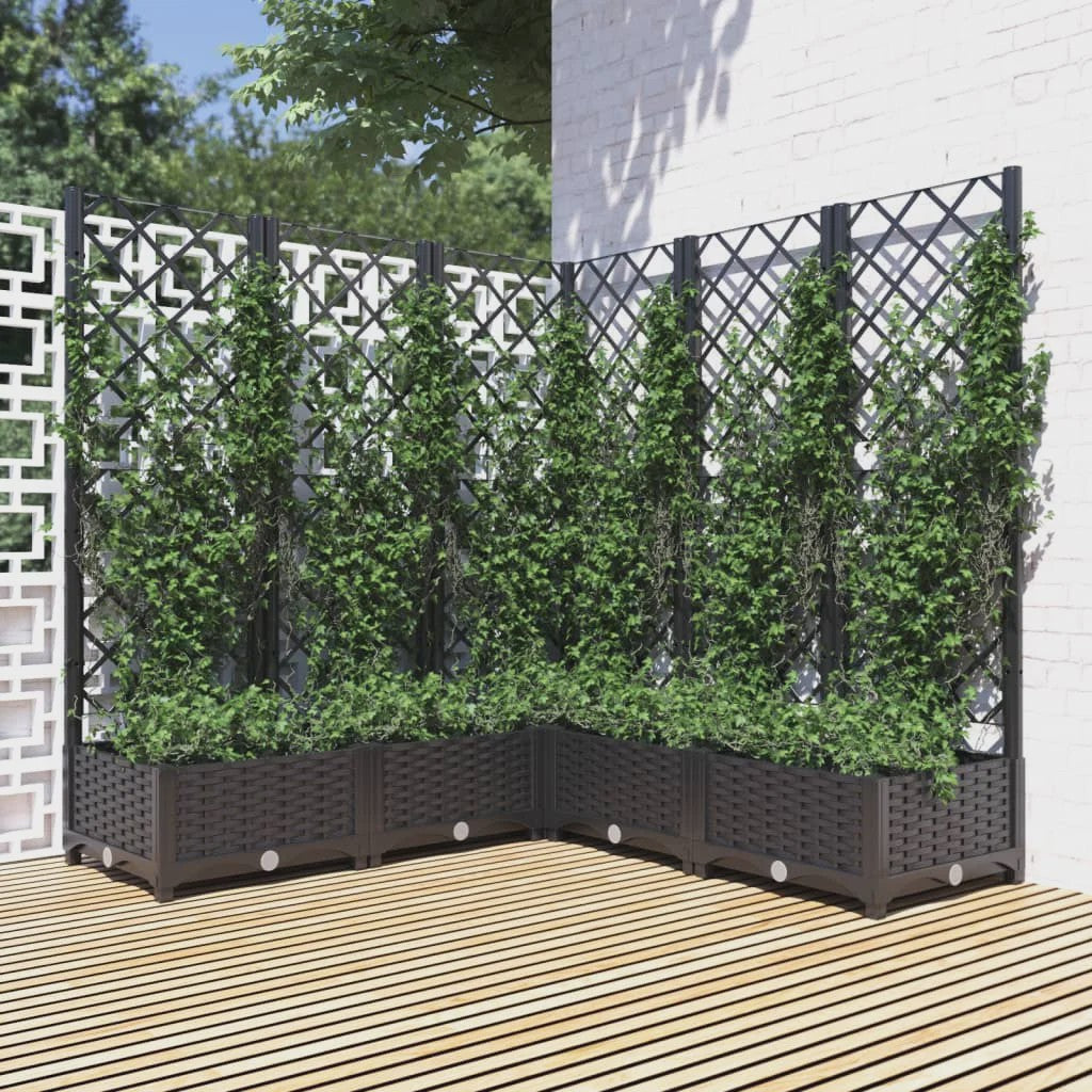 Zwarte Plantenbak met Trellis 120x120x121.5 cm - Verticale Tuin