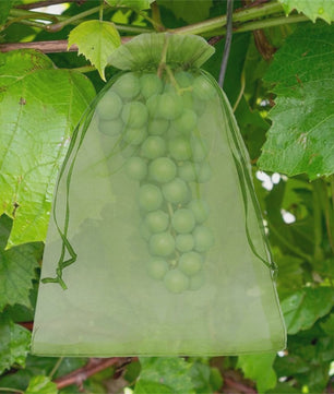 Beschermnetten voor Fruit en Planten - Tegen Vogels, Insecten en Schade (10-200 Stuks)