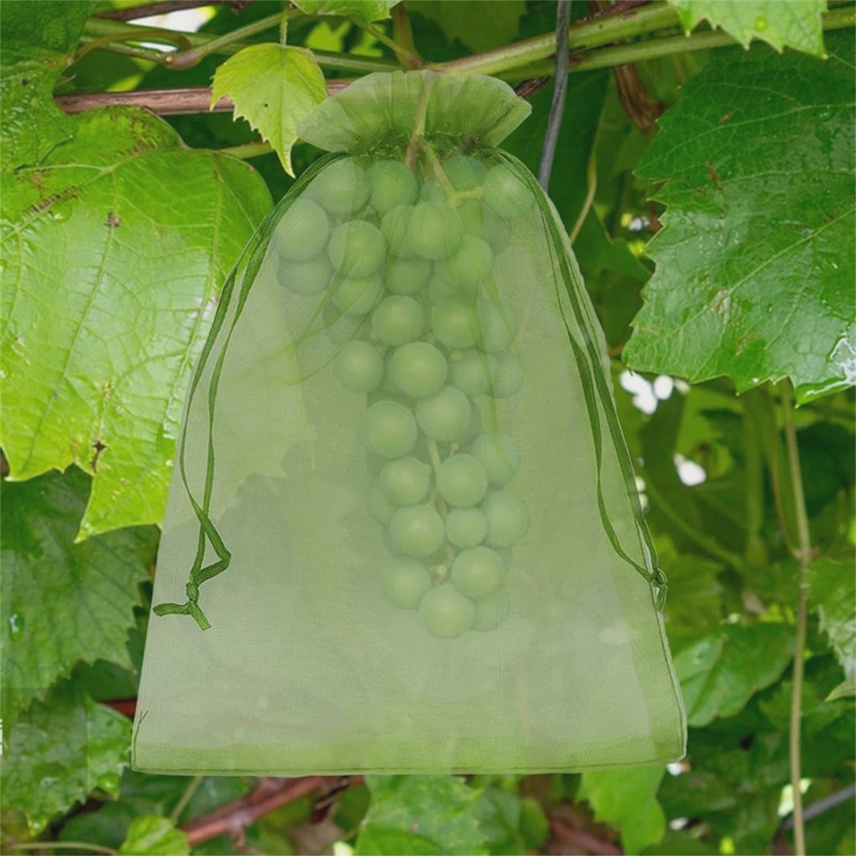 Beschermnetten voor Fruit en Planten - Tegen Vogels, Insecten en Schade (10-200 Stuks)