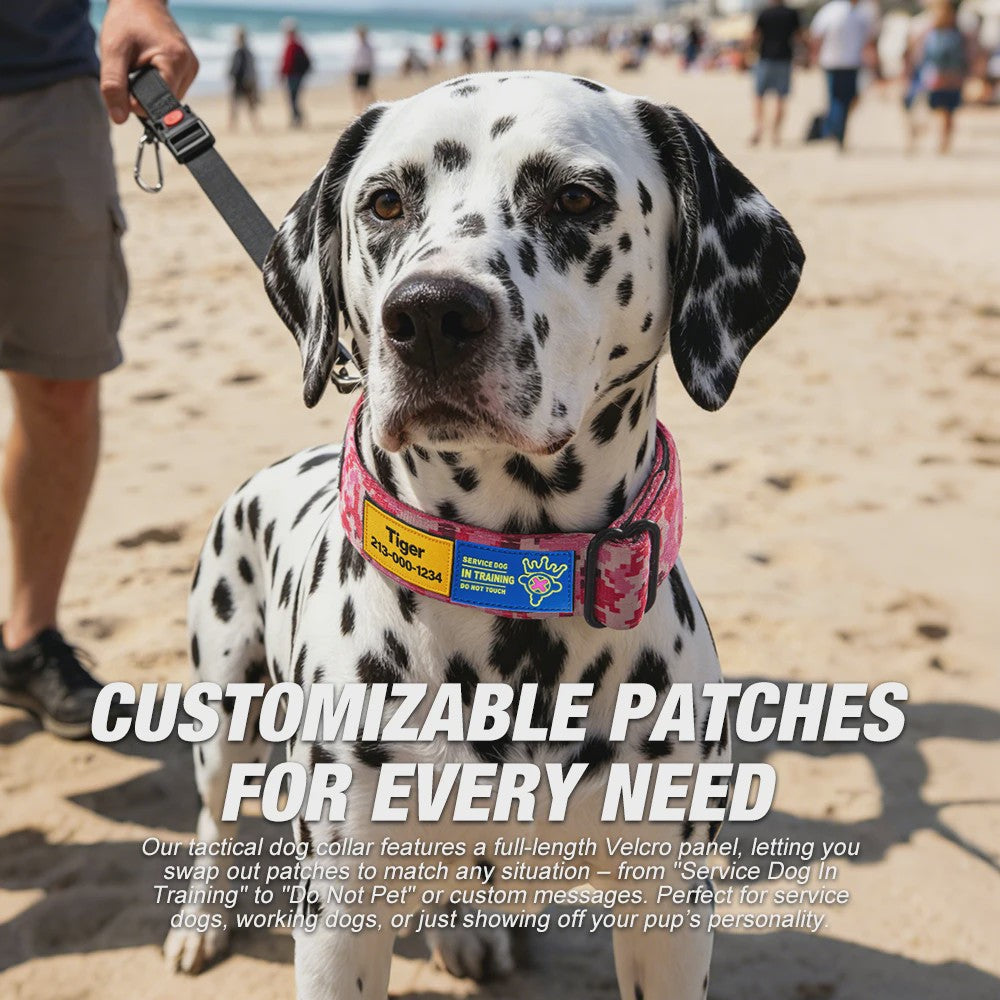 TSPRO Tactische Hondenhalsband Heavy Duty met Metalen Gesp - Verstelbaar voor Middelgrote tot Grote Honden
