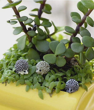 Mini Egel Beeldjes Set (5/10 Stuks) - Sprookjestuin & Miniatuur Decoratie