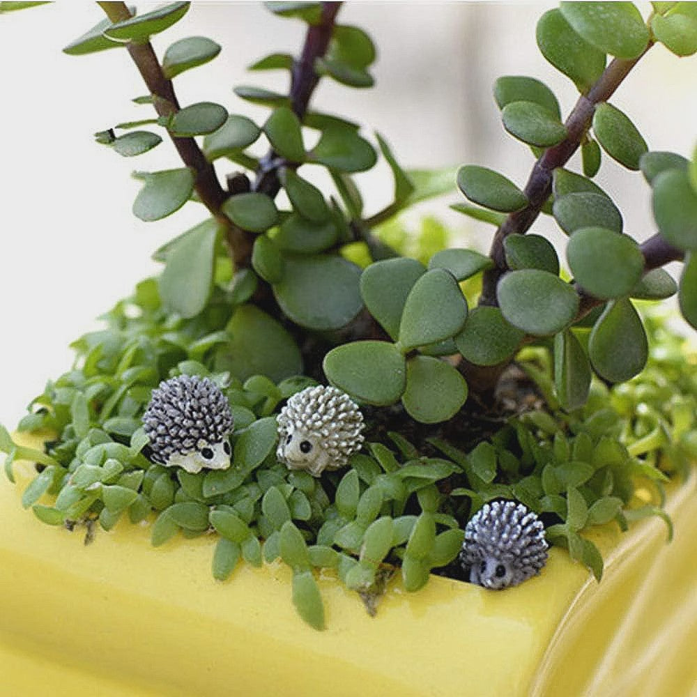Mini Egel Beeldjes Set (5/10 Stuks) - Sprookjestuin & Miniatuur Decoratie