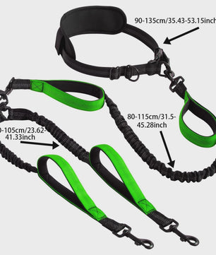 Verstelbare Dubbele Hondenriem met Schokdemper voor Handsfree Lopen en Trainen