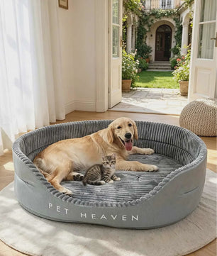Luxe Hondenkussen & Sofa - Comfortabel & Duurzaam voor Kleine tot Middelgrote Honden