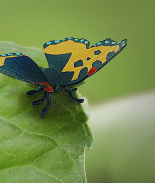 Realistische Insecten Speelgoed Set - Vlinder, Bij, Spin, Krekel & Meer - Educatief Speelgoed