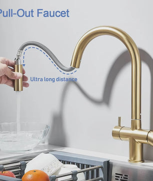 Keukenmengkraan met Uittrekbare Douchekop en Waterfilter - Goudkleurig