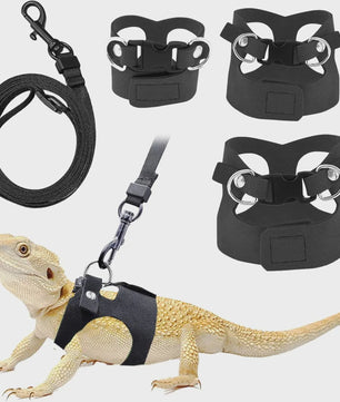 Verstelbaar Reptiel Harnas met Leiband Set voor Baardagame - 3 Maten, Zacht Leer