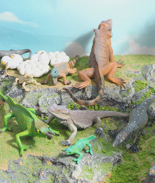 Educatieve Reptielen Levenscyclus Modellen: Kameleon, Baardagaam, Leguaan