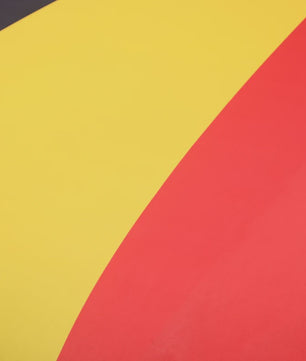 Belgische Vlag Motorkaphoes - Unieke Decoratie voor uw Auto