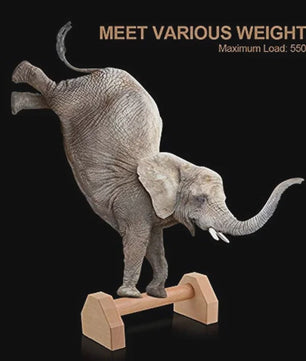 Houten Push-up Stands & Parallettes - Stabiele Grepen voor Thuis Fitness en Krachttraining