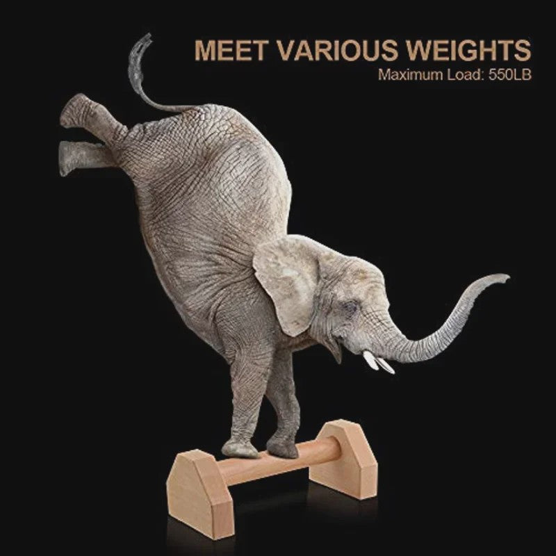 Houten Push-up Stands & Parallettes - Stabiele Grepen voor Thuis Fitness en Krachttraining