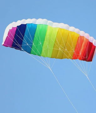 Dual Line Stunt Power Kite - Beginners Kitesurf & Strandplezier