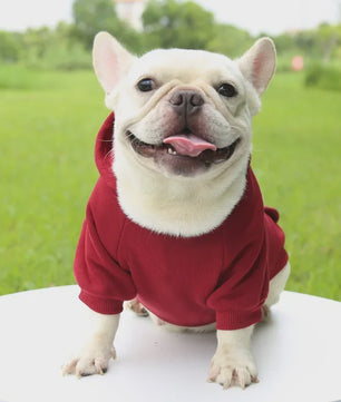 Warme Hondenhuisjes Hoodie voor Herfst & Winter - Comfortabele Pet Kleding