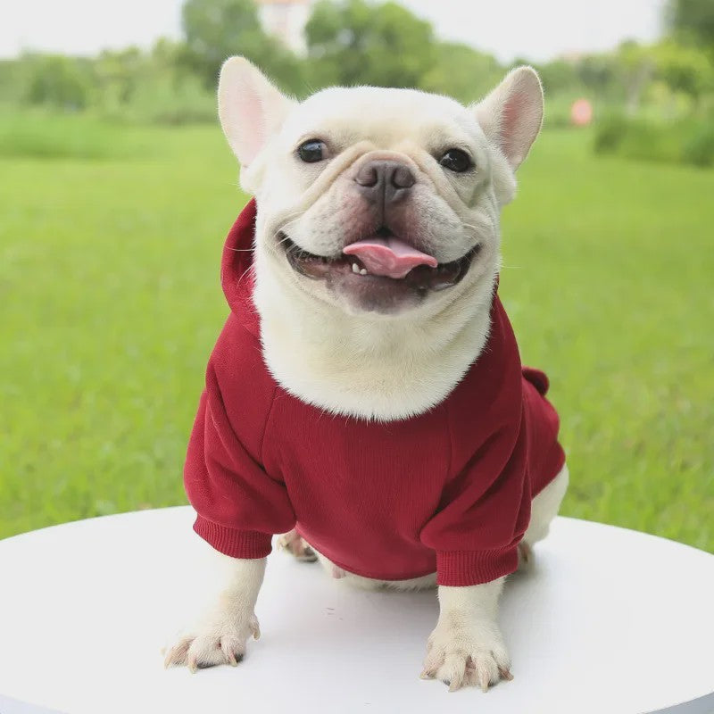 Warme Hondenhuisjes Hoodie voor Herfst & Winter - Comfortabele Pet Kleding