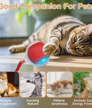 Interactieve Kattenbal Speelgoed - Automatisch Rollend, Oplaadbaar & Slim